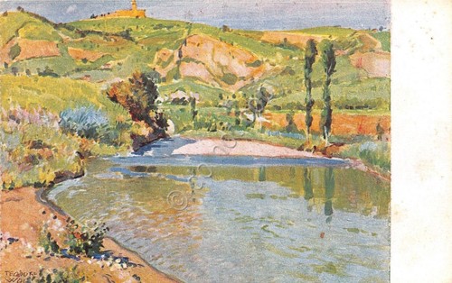 Cartolina illustrata wolf - cartolina,