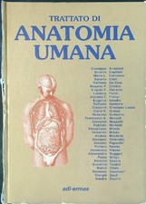 TRATTATO DI ANATOMIA UMANA VOLUME 2 AA.VV. EDI ERMES 2007  RILEGATO