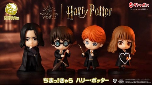 Harry potter goods - harry,
