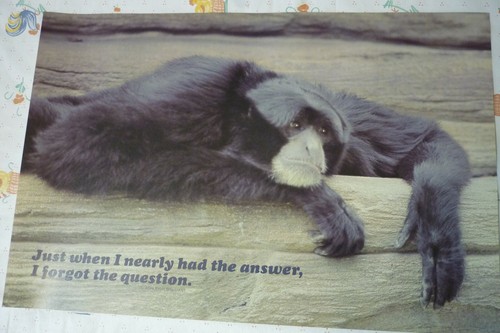 Poster vintage nos - vintage, 1981