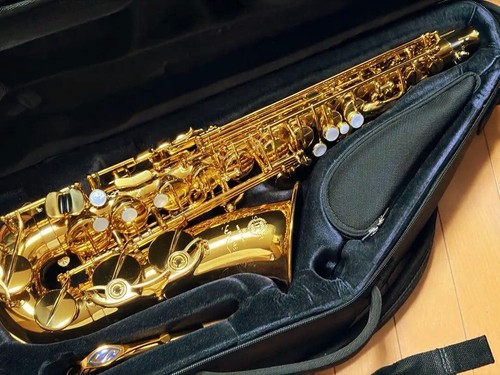 Selmer supreme dgl alto - selmer,