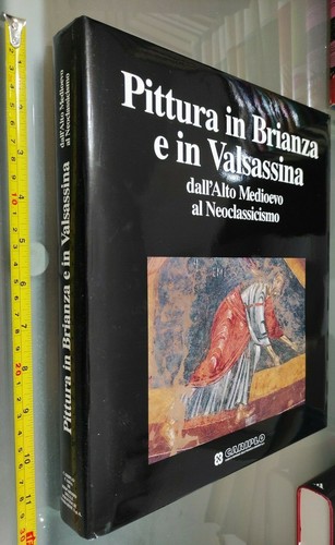Libro pittura brianza e - libro:pittura,