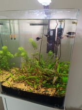 Acquario da 30 lt completo di accessori e mobiletto