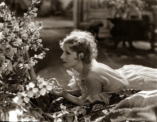 Foto poster splendida classica