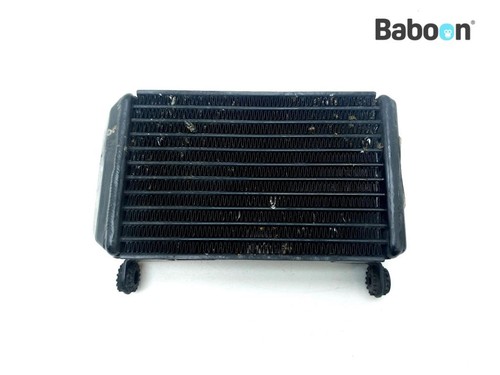 Radiatore dell olio ducati - radiatore, dell'olio