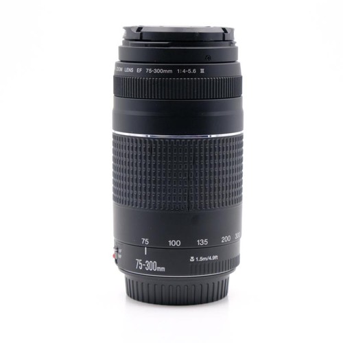 Canon 300mm 5 6 iii - ef, f4-5.6