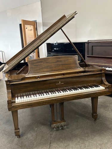 Steinway grand piano - l,