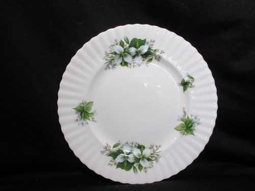 Royal albert trillium - albert,
