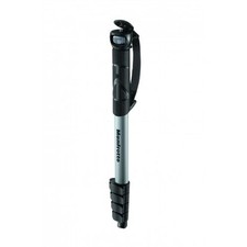 Monopiede professionale