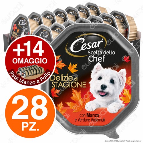 Cesar scelta dello - cesar,