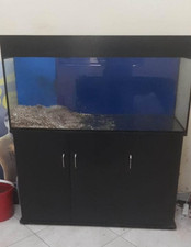 Acquario completo da 350 litri circa può essere usato per acqua dolce o salata