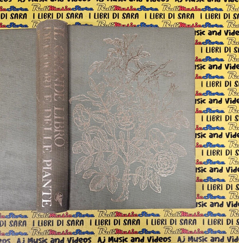 Book libro grande - book, dei