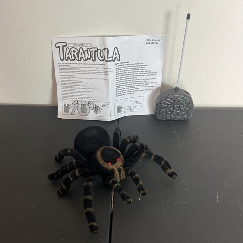 Tarantola ragno nero - rc,