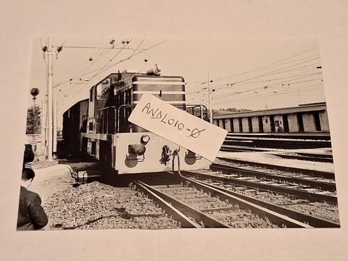 Fotografia roma smistamento - fotografia,