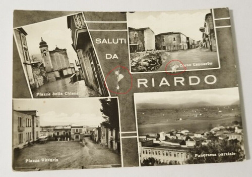 Dd548 cartolina saluti - cartolina,
