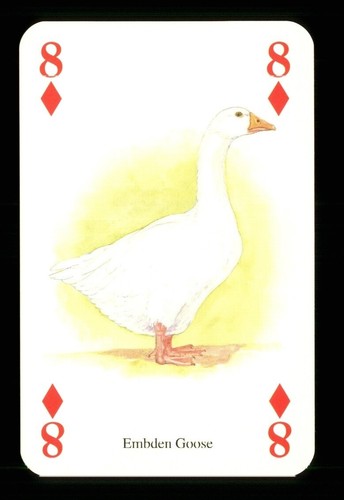 Playing card an - of,
