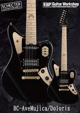 Chitarra elettrica 7 corde