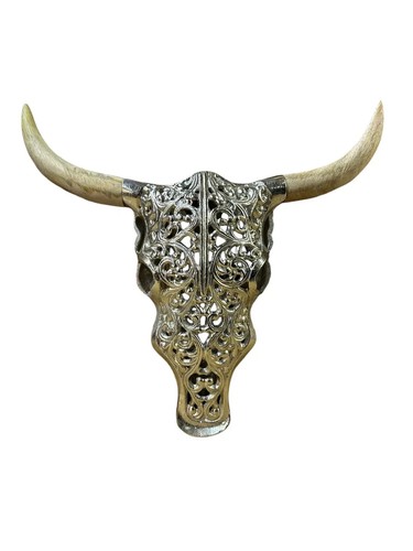 Grande teschio bisonte