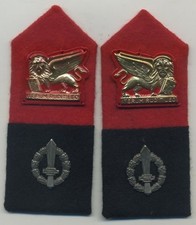 COPPIA MOSTRINE POLIZIA MILITARE DIVISIONE SAN MARCO - R.S.I.