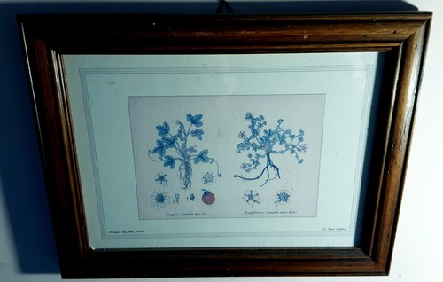 Stampa provenzale vintage - provenzale,