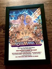 11x17 framed hulk - framed,
