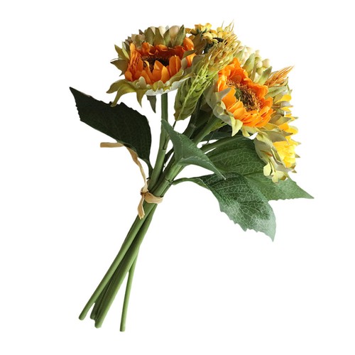 Decorative flowers real - ,