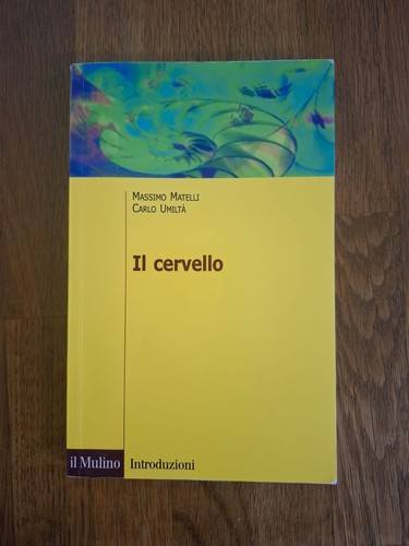 Cervello massimo matelli - il, (massimo