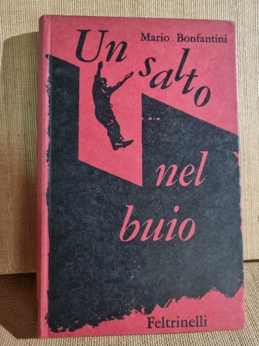 Salto nel buio mario - nel, buio.