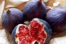 Genovese Nero - Fico Ficus Carica G.Nero, 20 semi freschi