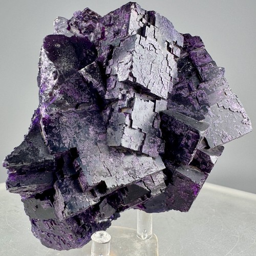 Fluorite comune múzquiz - comune, di