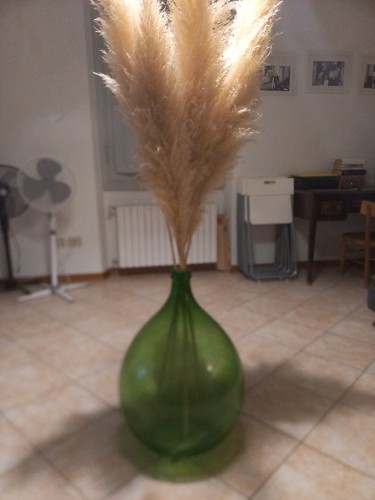 Damigiana vetro litri - di,