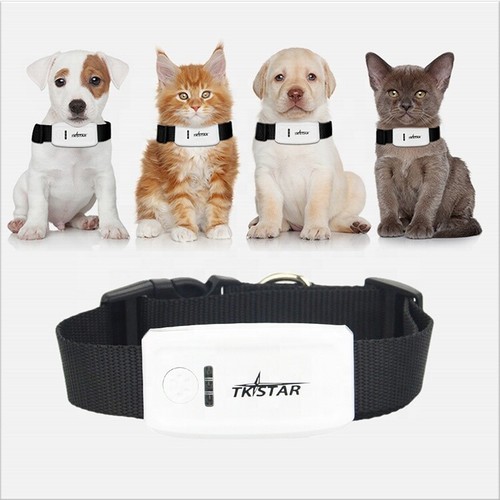 Smart pet locator collare - smart,