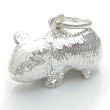 Ciondolo in argento sterling