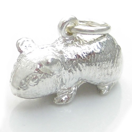 Ciondolo argento sterling - in,