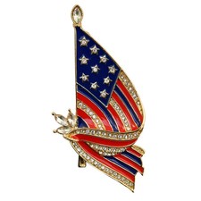  Costume Accessories American