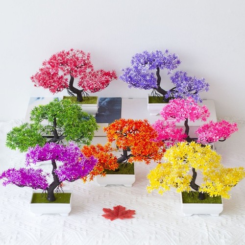 Bonsai pino con fiori - pino,