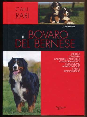 Bovaro del bernese sylvie - del,