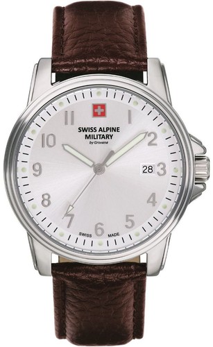 Swiss alpine military - alpine, leader