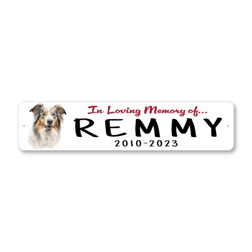 Australian shepherd loving - in,