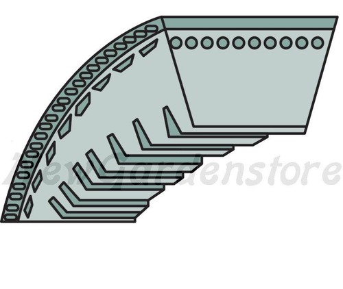Cinghia trapeziodale