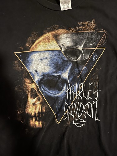 Wild fire harley davidson - wild,