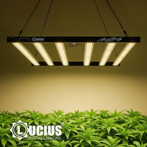 Lucius led 720w µmol - lucius, µmol/j