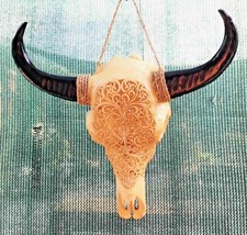 Testa di bufalo piccola, bull skull, teschio di toro mini, cráneo del toro, crâne de taureau