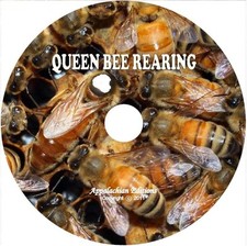 PRATICO ALLEVAMENTO APE REGINA