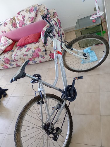 Bicicletta usata frejus - usata,