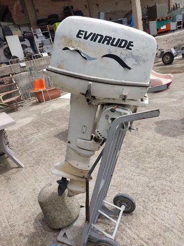 Motore evinrude johnson j25be - motore,