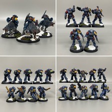 Spazio Lupi Lupo Esercito