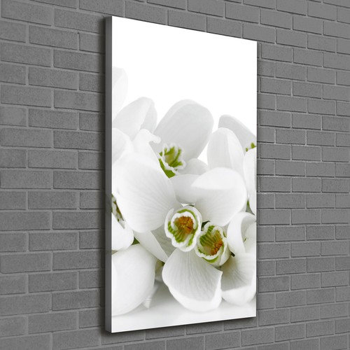 Tulup dipinto tela pittura - tulup, su