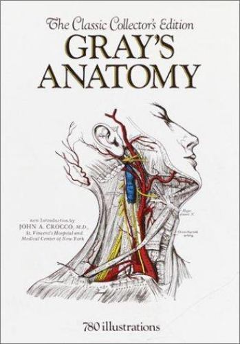 Gray anatomy the classic - gray's,