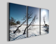 Quadri neve Under snow stampe paesaggi innevati